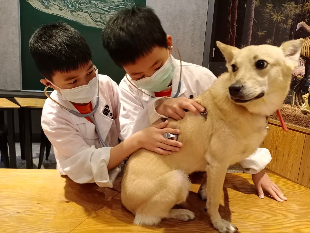 國小寒暑假營隊＿讓夢翱翔輪播照片3