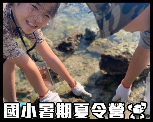 【國小營隊】2021桃園中壢青埔｜國小暑假線上夏令營