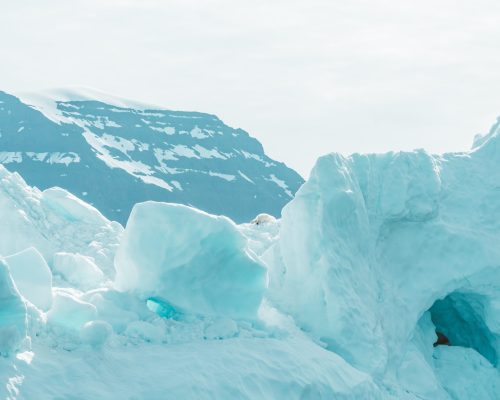 親子講座｜如果我不是你想的那樣？用薩提爾冰山理論3步驟處理教養衝突