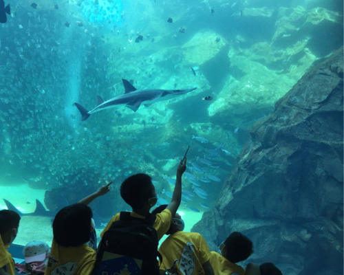 【國小自然科學教室】青埔Xpark水族館開幕逗點帶您搶先導覽